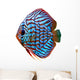 Colorful Tropical Discus Fish Wall Decal