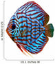 Colorful Tropical Discus Fish Wall Decal