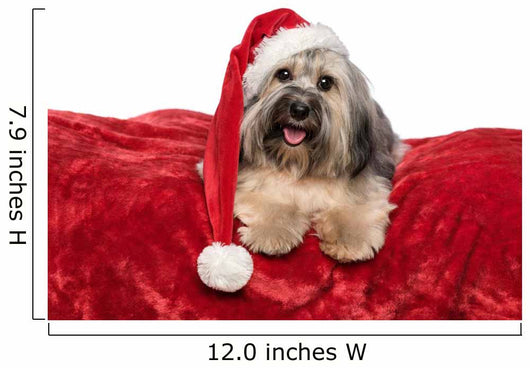 Funny Christmas Dog Wall Decal