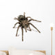 Black Tarantula Wall Decal