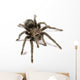 Black Tarantula Wall Decal