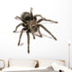 Black Tarantula Wall Decal