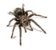 Black Tarantula Wall Decal