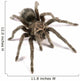 Black Tarantula Wall Decal