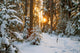 Winter Landscape Wall Decal