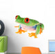 Red-eye Tree Frog Wall Decal