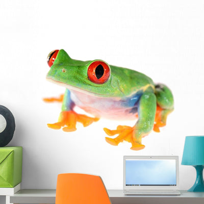 Red-eye Tree Frog Wall Decal shown on a wall
