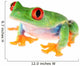 Red-eye Tree Frog Wall Decal
