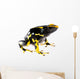 Yellow Dart Frog Wall Decal