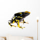 Yellow Dart Frog Wall Decal