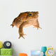 Cane Toad Wall Decal