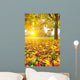 Sunny Autumn Foliage Wall Decal