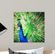 Splendid Peacock with Feathers Wall Decal