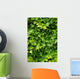Abstract Lush Green Ivy Wall Decal