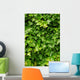 Abstract Lush Green Ivy Wall Decal
