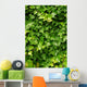 Abstract Lush Green Ivy Wall Decal