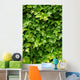 Abstract Lush Green Ivy Wall Decal