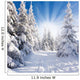 Sonniger Winterwald Wall Decal