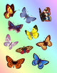 Bright Butterflies Wall Decal