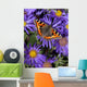 Small Tortoiseshell Butterfly Wall Decal