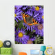 Small Tortoiseshell Butterfly Wall Decal