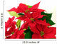 Poinsettia Red Leaves Wall Decal