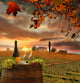 White Wine with Barrell Wall Decal