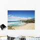 Tamarama Beach Sydney Wall Decal