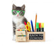 Cat with Green Glasses Wall Decal