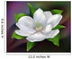 Blooming Magnolia Wall Decal