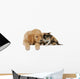 Golden Retriever Mit Katze Wall Decal