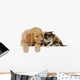 Golden Retriever Mit Katze Wall Decal