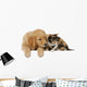 Golden Retriever Mit Katze Wall Decal
