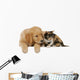 Golden Retriever Mit Katze Wall Decal