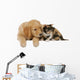 Golden Retriever Mit Katze Wall Decal