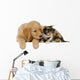 Golden Retriever Mit Katze Wall Decal