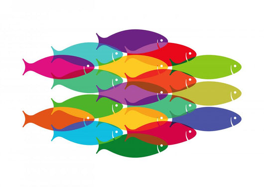 Bunter Fischschwarm Wall Decal