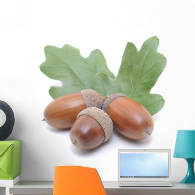 Acorns Wall Decal shown on a wall