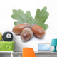 Acorns Wall Decal