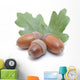 Acorns Wall Decal