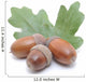 Acorns Wall Decal