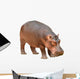 Hippopotamus Wall Decal