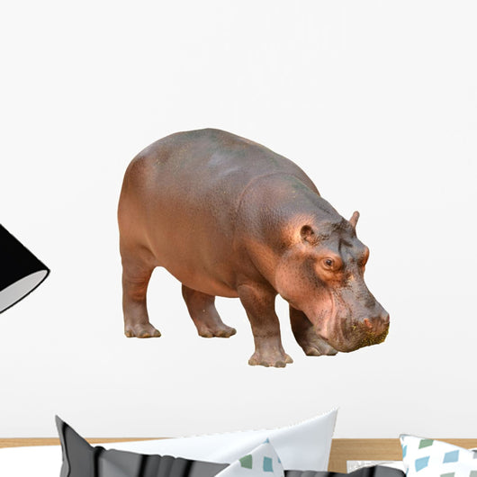 Hippopotamus Wall Decal