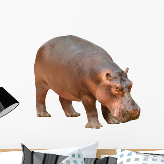 Hippopotamus Wall Decal