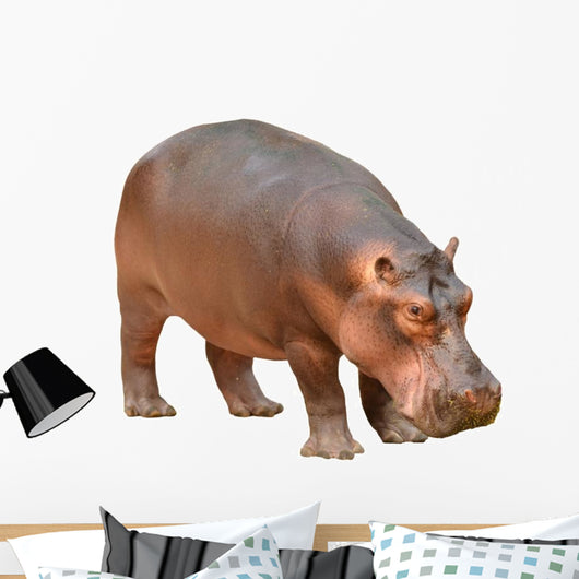 Hippopotamus Wall Decal