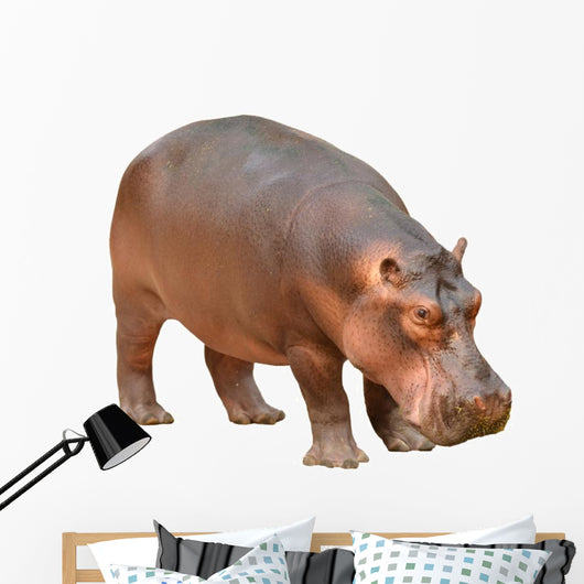 Hippopotamus Wall Decal
