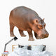 Hippopotamus Wall Decal