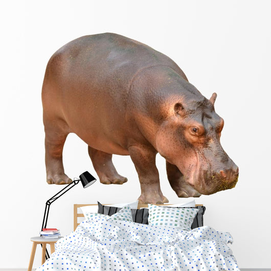 Hippopotamus Wall Decal