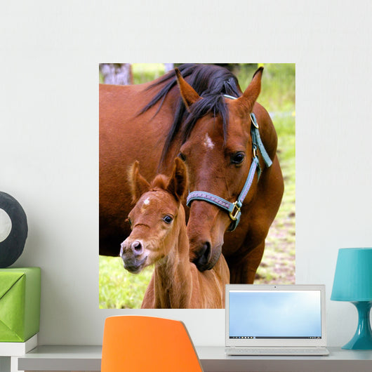 Mare and Colt Nuzzling Wall Decal