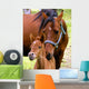 Mare and Colt Nuzzling Wall Decal